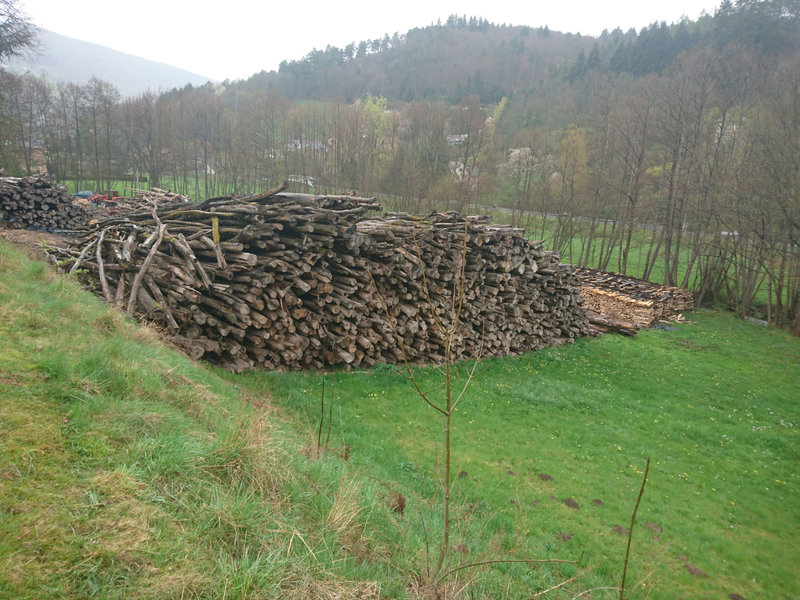 Got Wood?
